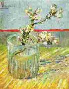 Vincent Van Gogh Blooming Almond Stem in a Glass oil painting on canvas